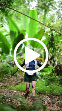 BIB:  <button type="button" onclick="openModal(26824509)" class="btn btn-primary btn-sm float-right" data-toggle="modal" data-target=".modal-high-quality">
                <i class="fa fa-download"></i> Download
                </button>